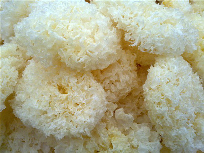 Chinese food tremella natural health benefits and nutrition facts