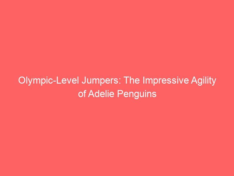 olympic level jumpers: the impressive agility of adelie penguins