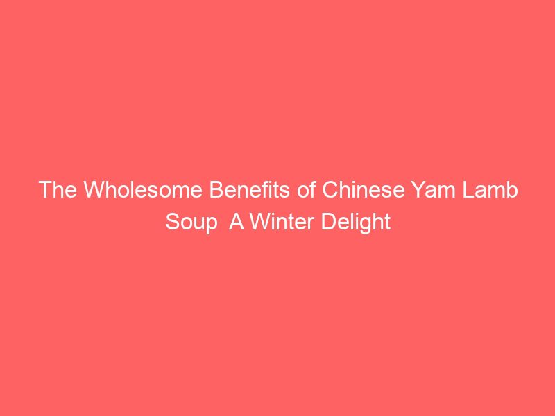 the wholesome benefits of chinese yam lamb soup a winter delight